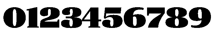 ParcloSerif Ultra Font OTHER CHARS
