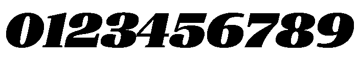 ParcloSerif UltraItalic Font OTHER CHARS