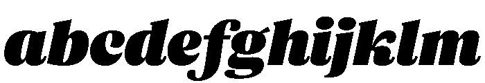 ParcloSerif UltraItalic FONT