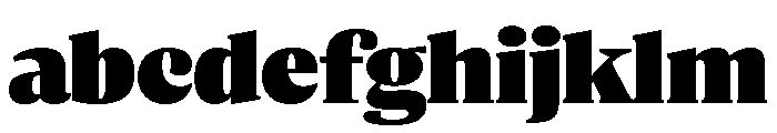 ParcloSerif Ultra FONT