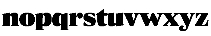 ParcloSerif Ultra Font LOWERCASE