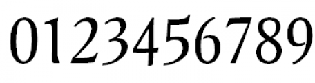 Pallada Regular Font OTHER CHARS