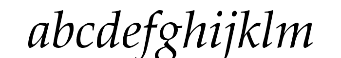 PalatinoLTStd-Italic Font LOWERCASE