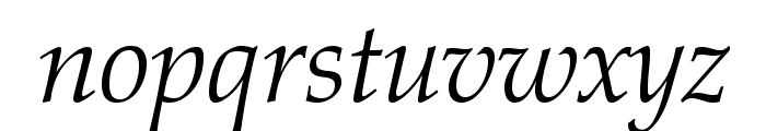 PalatinoLTStd-LightItalic Font LOWERCASE