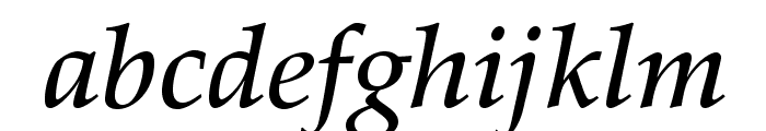 PalatinoLTStd-MediumItalic Font LOWERCASE