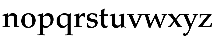 PalatinoLTStd-Medium Font LOWERCASE