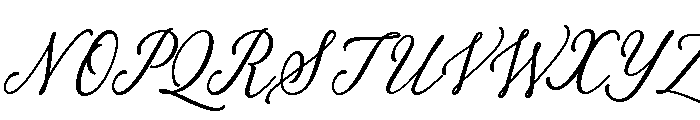 Palomino Script Clean Font UPPERCASE