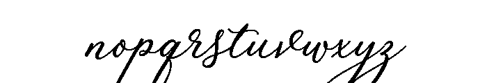 Palomino Script Clean Font LOWERCASE