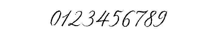 Palomino Script Rough Font OTHER CHARS