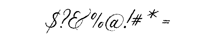 Palomino Script Rough Font OTHER CHARS