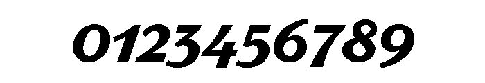 Parkside Bold Font OTHER CHARS