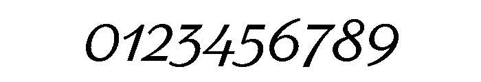 Parkside Light Font OTHER CHARS