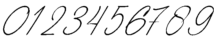 Pelagrium Italic Font OTHER CHARS