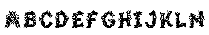 Pelvon Regular FONT