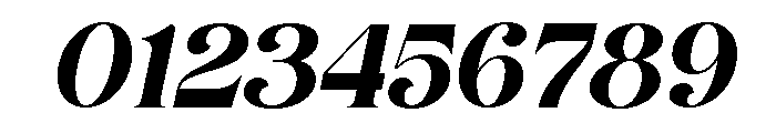 Perfina Italic Font OTHER CHARS