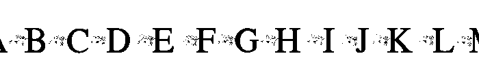 Petal Floral FONT