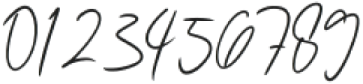 Pelsiwe Signature Regular otf (400) Font OTHER CHARS