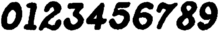 Penlore Scrawl Bold Italic otf (700) Font OTHER CHARS