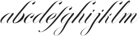 Perfecto Calligraphy Thin Italic otf (100) Font LOWERCASE