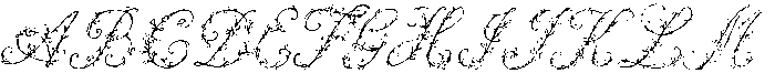 Petalia Regular ttf (400) Font UPPERCASE