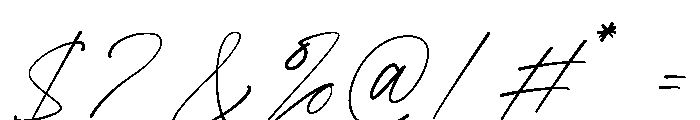 Perfect Girl Script Font OTHER CHARS