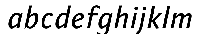 PermianSansTypeface-Italic Font LOWERCASE