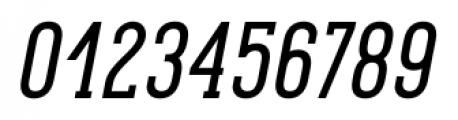 Pekora Regular Slab Serif Italic Font OTHER CHARS