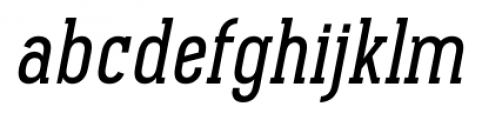 Pekora Regular Slab Serif Italic Font LOWERCASE