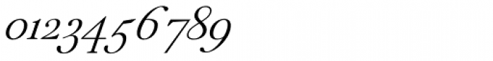 Peleguer Italic Font OTHER CHARS