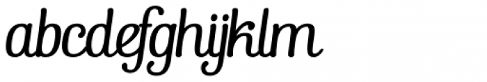 Pepita Script3 Italic Font LOWERCASE