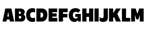 Performa Narrow Black Font UPPERCASE