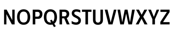 Performa Narrow Medium Font UPPERCASE