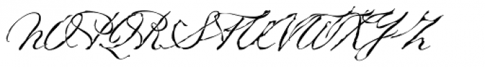 Petronella Font UPPERCASE