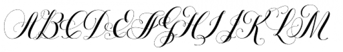 Petunia Monogram Font UPPERCASE