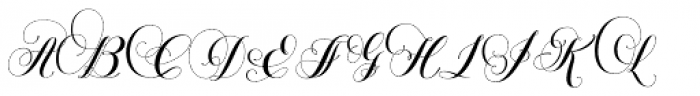 Petunia Monogram Font LOWERCASE