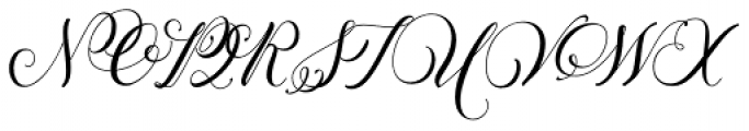 Petunia Script Bold Font UPPERCASE
