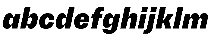 PetitFrèreNarrow BlackItalic FONT