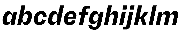 PetitFrèreNarrow BoldItalic FONT