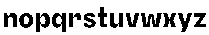 PetitFrèreNarrow Bold Font LOWERCASE
