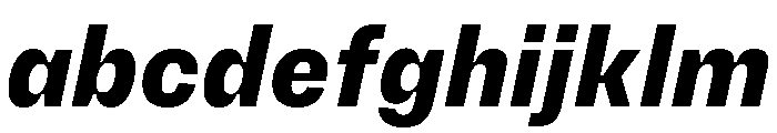 PetitFrèreNarrow ExtraboldItalic FONT