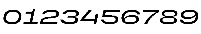 PetitFrèreWide MediumItalic Font OTHER CHARS