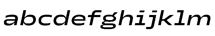 PetitFrèreWide MediumItalic FONT