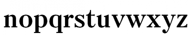 Petersburg Bold Font LOWERCASE