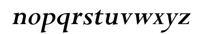 PerpetuaStd-BoldItalic Font LOWERCASE
