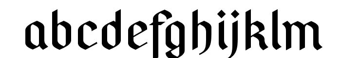 PfefferSGhalbfett-SemiBold Font LOWERCASE