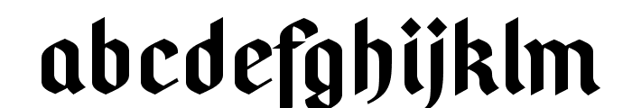 PfefferSimpelgotisch-Bold Font LOWERCASE