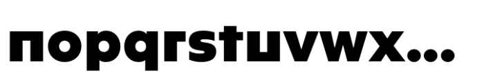 PGF Caprina Pro Black Font LOWERCASE