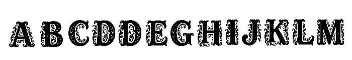 Phyllis Regular Font UPPERCASE