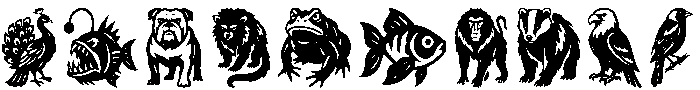 Phidias Animal Kingdom Dingbats otf (400) Font OTHER CHARS
