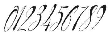 Philoshopy Italic otf (400) Font OTHER CHARS